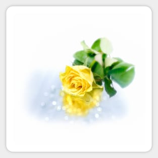 Bright yellow rose with water droplets. Sticker